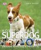 How To Train A Superdog: Unleash Your Dog's Potential