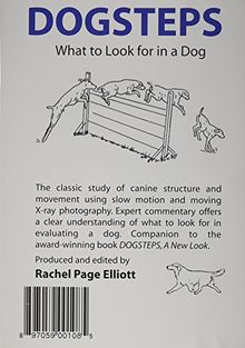 Dogsteps: What to Look for in a Dog