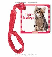 Mein Foto-Buggybuch Tierbabys