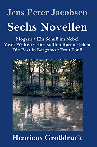 Sechs Novellen (Großdruck)
