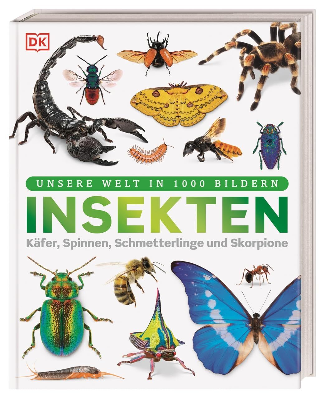 Ffrancon Dowds, Ben: Unsere Welt in 1000 Bildern. Insekten