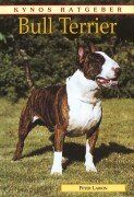 Bull Terrier