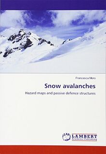 Snow avalanches: Hazard maps and passive defence structures