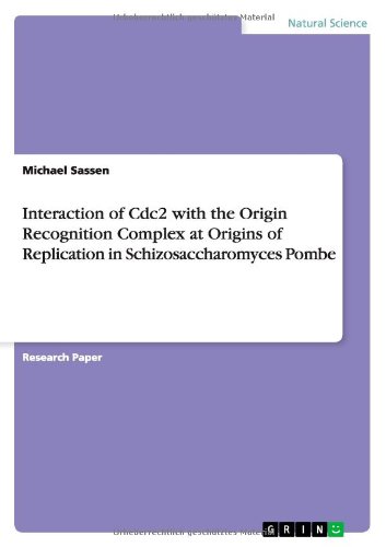 Interaction of Cdc2 with the Origin Recognition Complex at Origins of Replication in Schizosaccharomyces Pombe