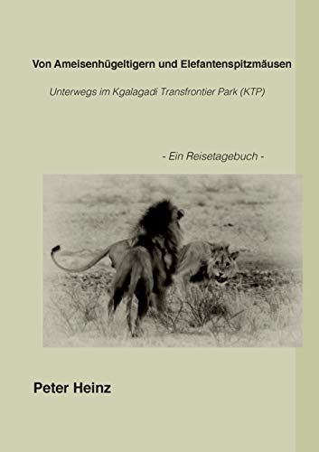 Von Ameisenhügeltigern und Elefantenspitzmäusen: Unterwegs im Kgalagadi Transfrontier Nationalpark (KTP)