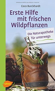 Erste Hilfe mit frischen Wildpflanzen: Die Naturapotheke für unterwegs