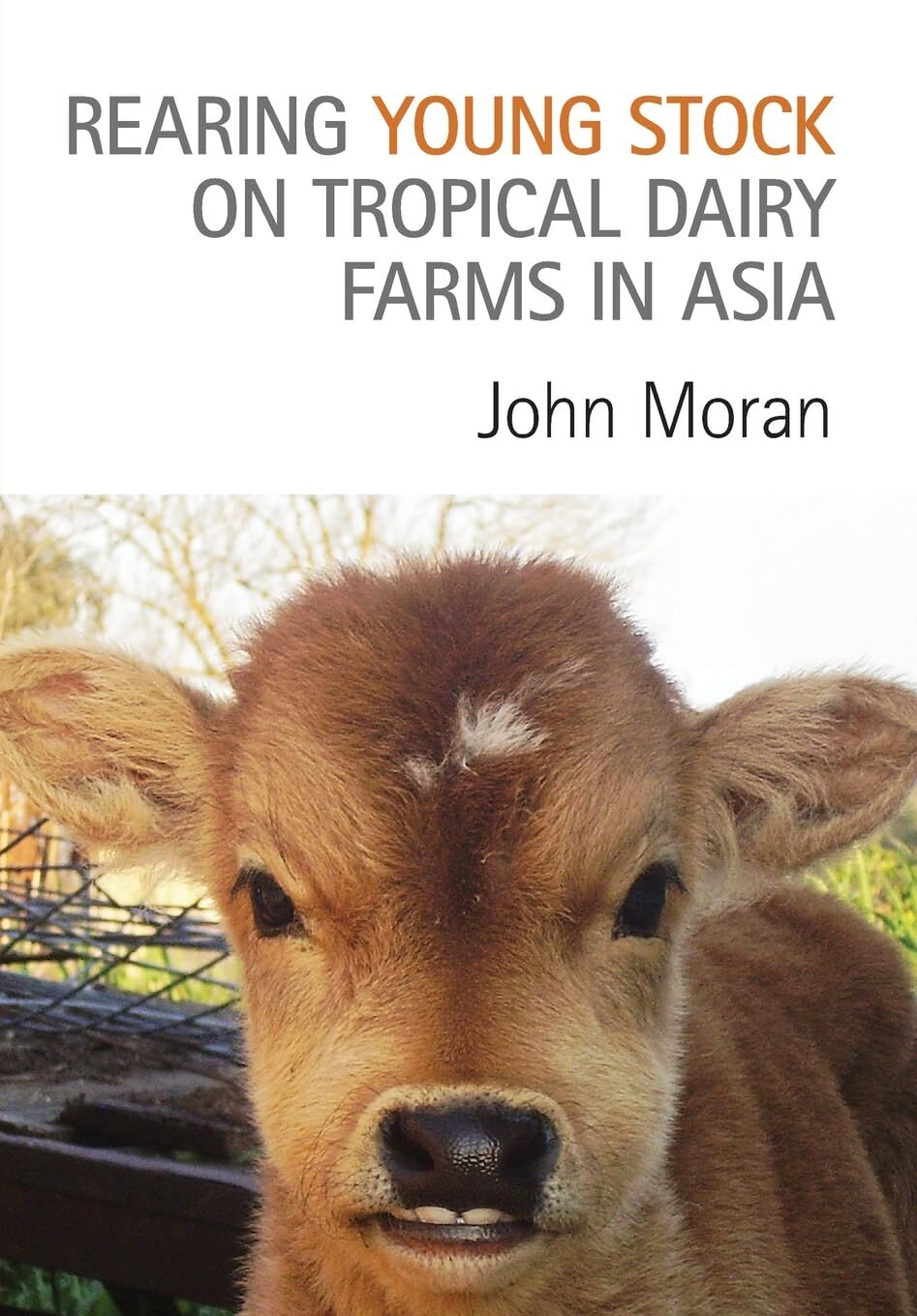 Rearing Young Stock on Tropical Dairy Farms in Asia