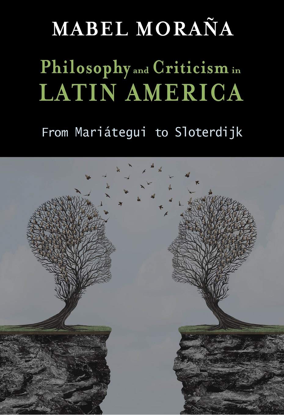 Philosophy and Criticism in Latin America: From Mariátegui to Sloterdijk (Cambria Latin American Literatures and Cultures Se)