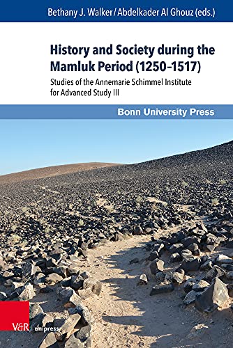 History and Society during the Mamluk Period (1250–1517): Studies of the Annemarie Schimmel Institute for Advanced Study III (Mamluk Studies)