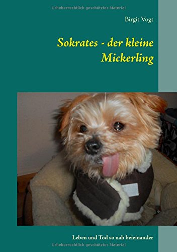 Sokrates - der kleine Mickerling: Leben und Tod so nah beieinander