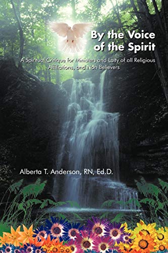 By The Voice Of The Spirit: A Spiritual Critique For Ministers And Laity Of All Religious Affiliations, And Non Believers