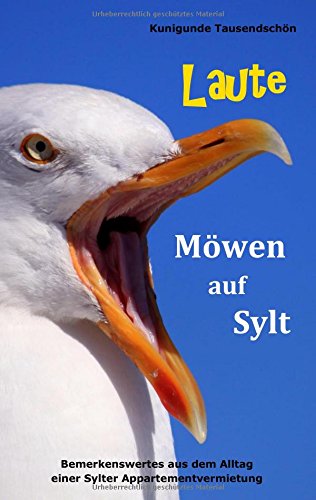 Laute Möwen auf Sylt: Bemerkenswertes aus dem Alltag einer Sylter Appartementvermietung