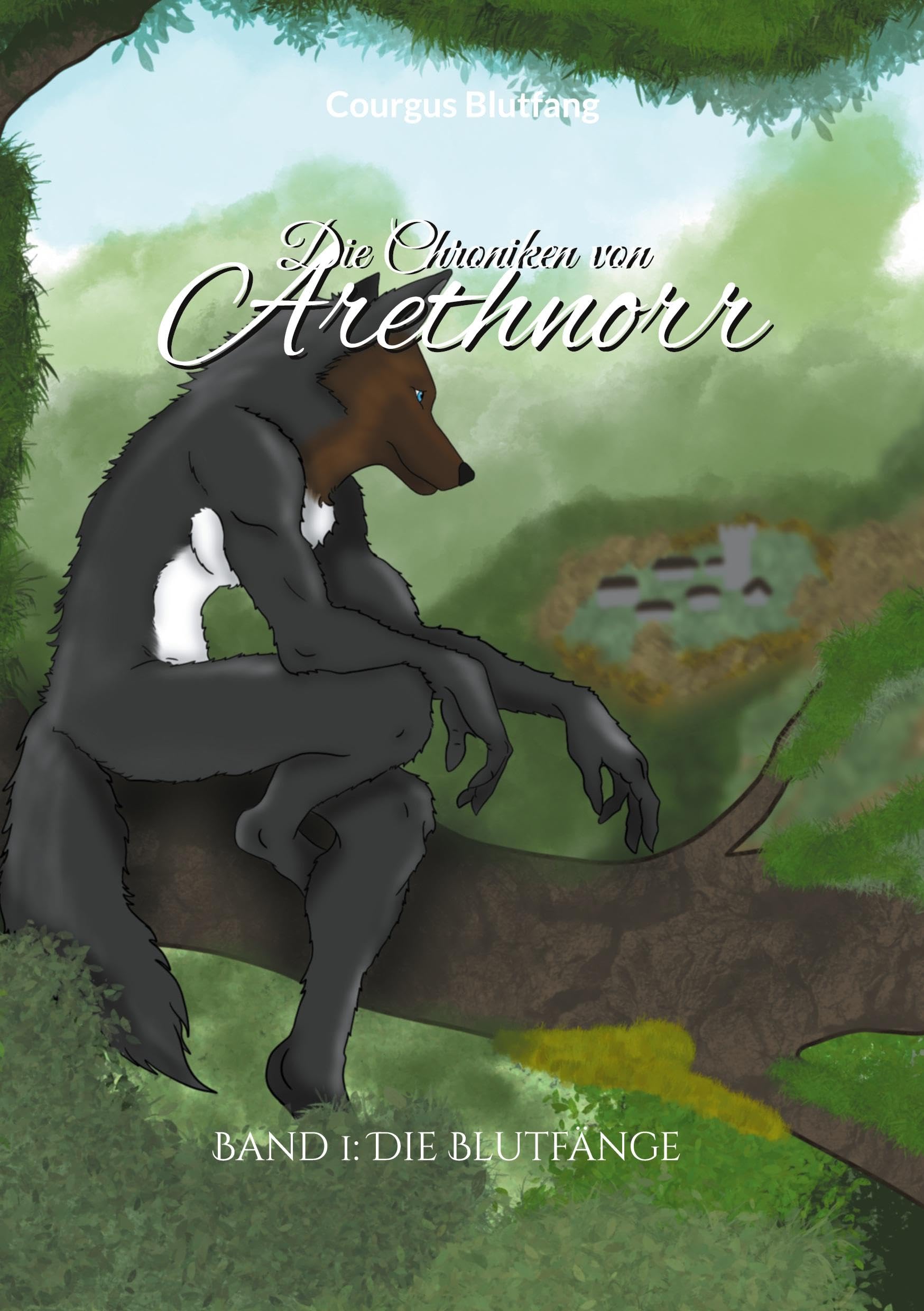 Die Chroniken von Arethnorr: Band 1: Die Blutfänge