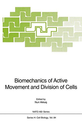 Biomechanics of Active Movement and Division of Cells (Nato ASI Subseries H:, Band 84)