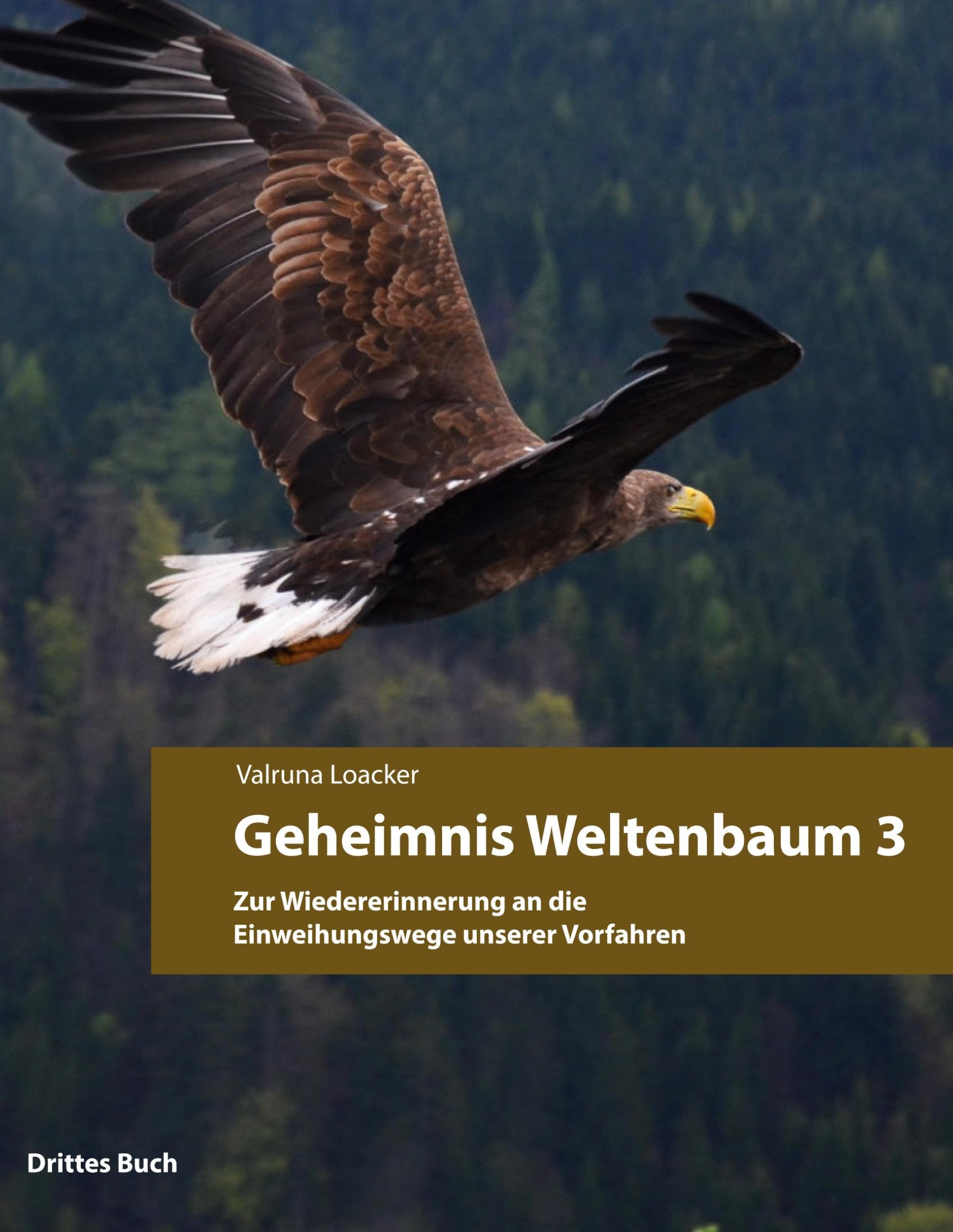Geheimnis Weltenbaum: Zur Wiedererinnerung an die Einweihungswege unserer Vorfahren
