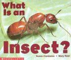 What Is an Insect? (Science Emergent Readers)