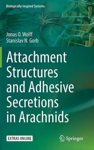 Attachment Structures and Adhesive Secretions in Arachnids (Biologically-Inspired Systems)