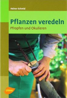 Pflanzen veredeln: Pfropfen und Okulieren