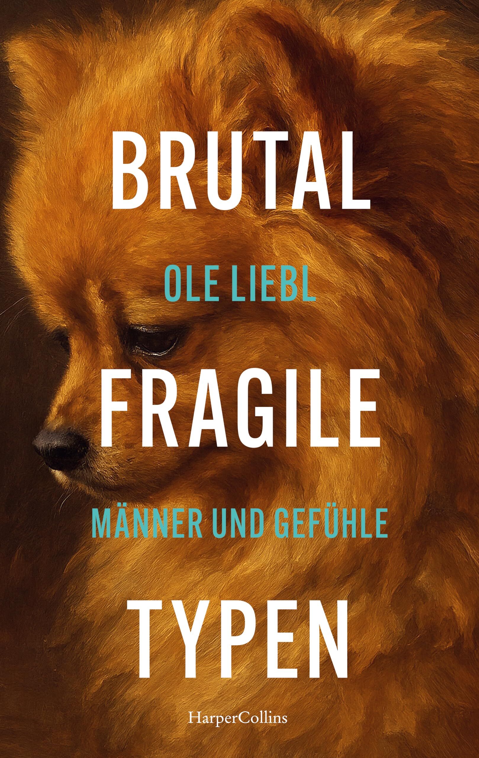 Liebl, Ole: Brutal fragile Typen. Männer und Gefühle