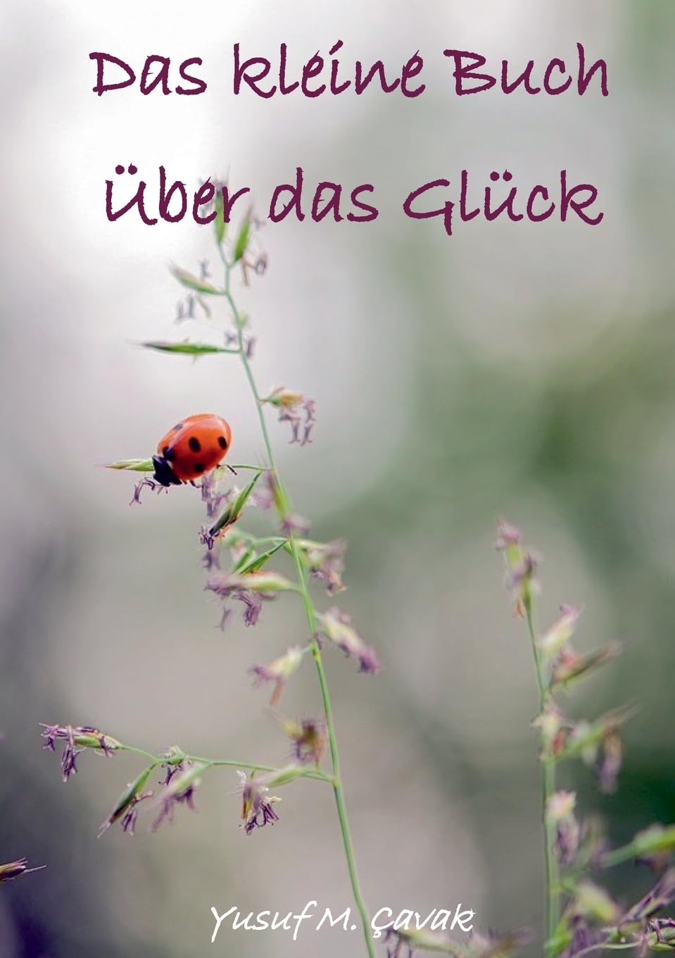 Das kleine Buch über das Glücks