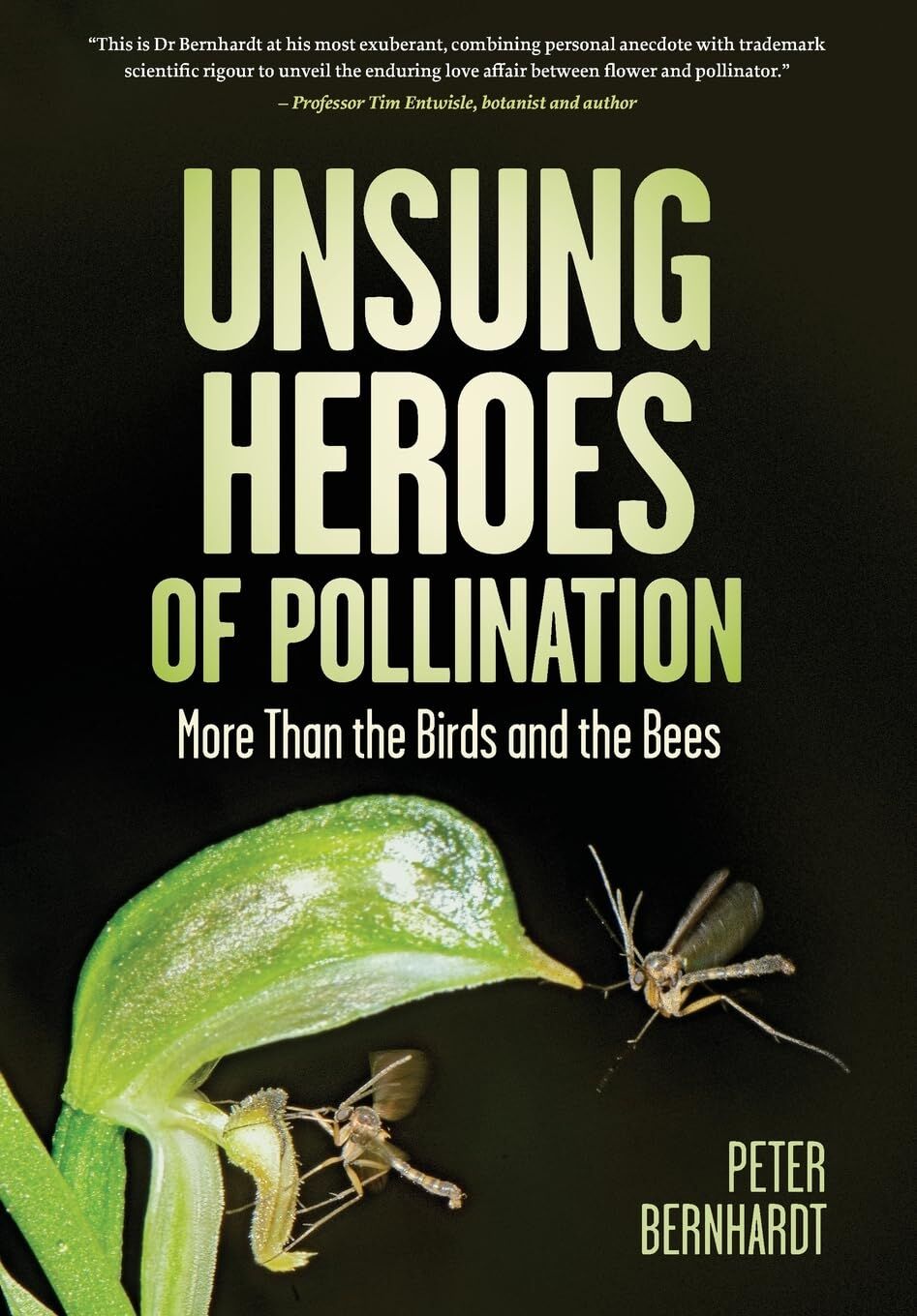 Unsung Heroes of Pollination