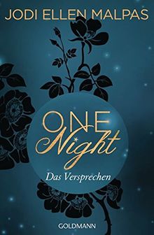 One Night - Das Versprechen: Die One Night-Saga 3