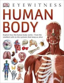 Human Body (DK Eyewitness)