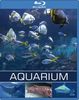 Exotisches Salzwasser Aquarium [Blu-ray]