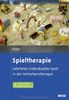 Spieltherapie: Geleitetes individuelles Spiel in der Verhaltenstherapie. Mit E-Book inside und Arbeitsmaterial