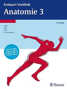 Endspurt Vorklinik: Anatomie 3: Die Skripten fürs Physikum (Reihe Endspurt Vorklinik)