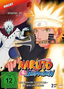 Naruto Shippuden - Das endlose Tsukuyomi - Die Beschwörung - Staffel 20.1: Folgen 634-641 [2 DVDs]