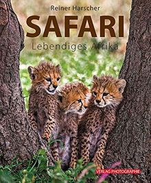 Safari: Lebendiges Afrika