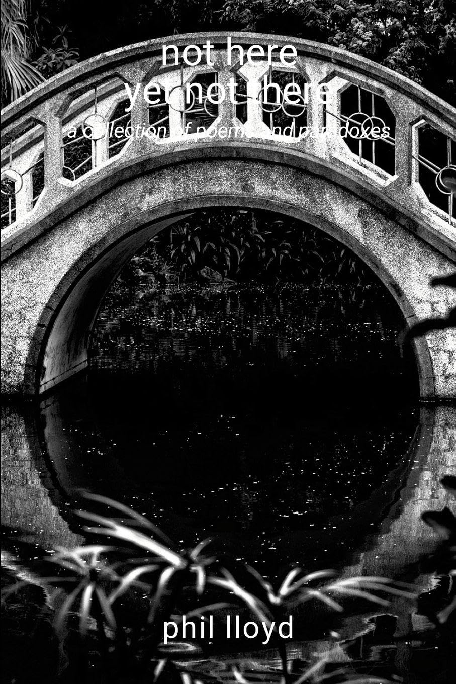not here yet not there: transition