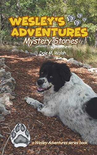 Wesley's Adventures: Mystery Stories (Wesley's Adventure Stories, Band 3)