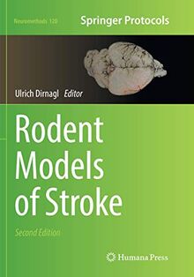 Rodent Models of Stroke (Neuromethods, Band 120)