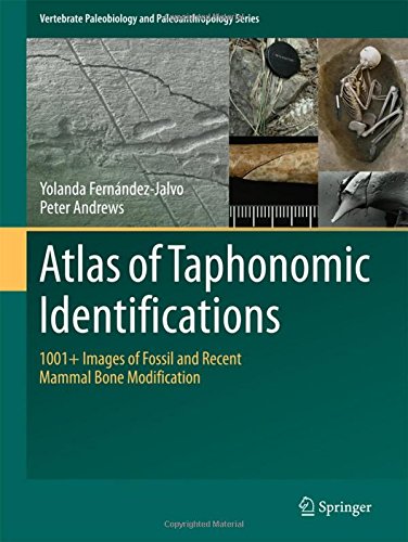 Atlas of Taphonomic Identifications: 1001+ Images of Fossil and Recent Mammal Bone Modification (Vertebrate Paleobiology and Paleoanthropology)