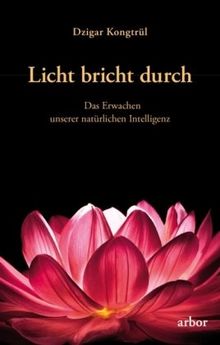 Licht bricht durch: Das Erwachen unserer natürlichen Intelligenz