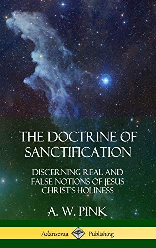 The Doctrine of Sanctification: Discerning real and false notions of Jesus Christ's Holiness (Hardcover)