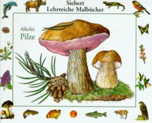 Allerlei Pilze von Erwin Eigner | Buch | Zustand sehr gut