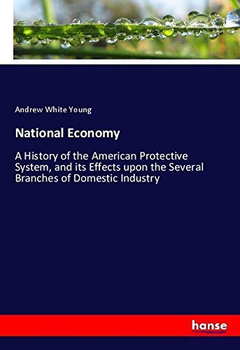 National Economy: A History of the American Protective System, and its Effects upon the Several Branches of Domestic Industry