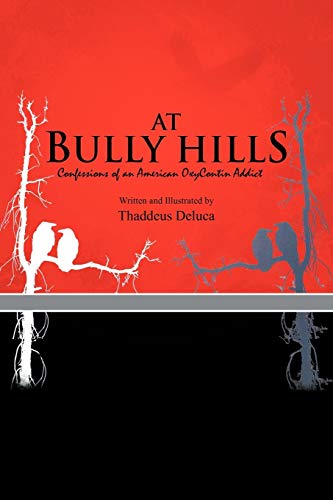 At Bully Hills: Confessions of an American Oxycontin Addict