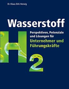 Wasserstoff: Perspektiven, Potenziale und Lösungen für Unternehmer und Führungskräfte