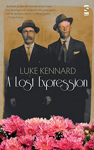 A Lost Expression (Salt Modern Poets)