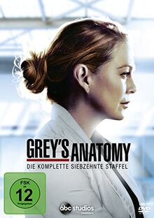 Grey's Anatomy: Die jungen Ärzte - Die komplette siebzehnte Staffel [5 DVDs]