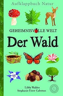 Aufklappbuch Natur - Geheimnisvolle Welt: Der Wald