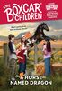 A Horse Named Dragon: 114 (Boxcar Children Mysteries, 114)