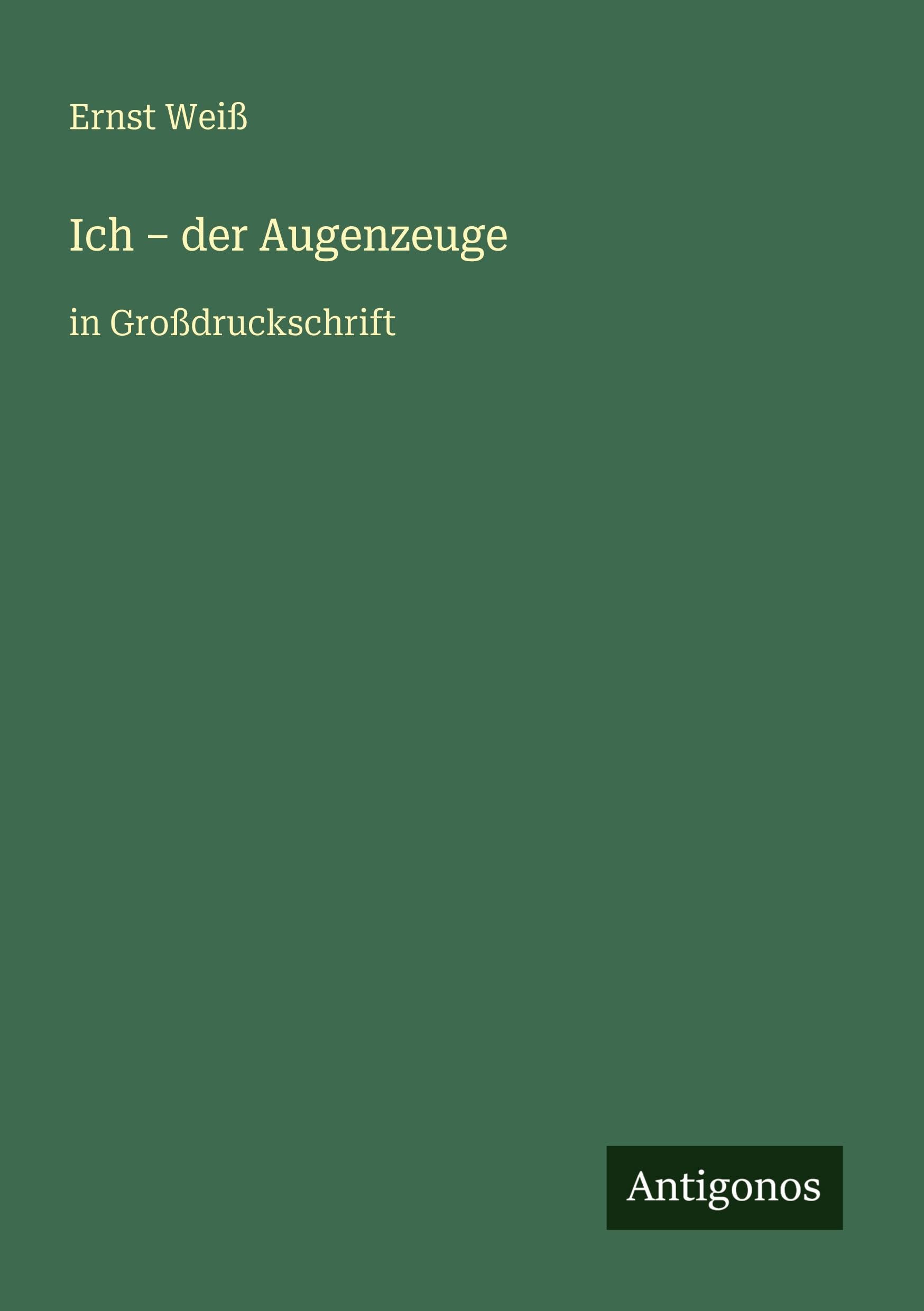 Ich - der Augenzeuge: in Großdruckschrift
