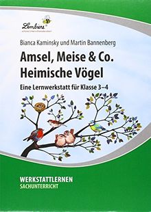 Amsel, Meise & Co: Heimische Vögel: Grundschule, Sachunterricht, Klasse 3-4