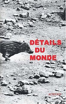 Détails du monde : Sophie Ristelhueber