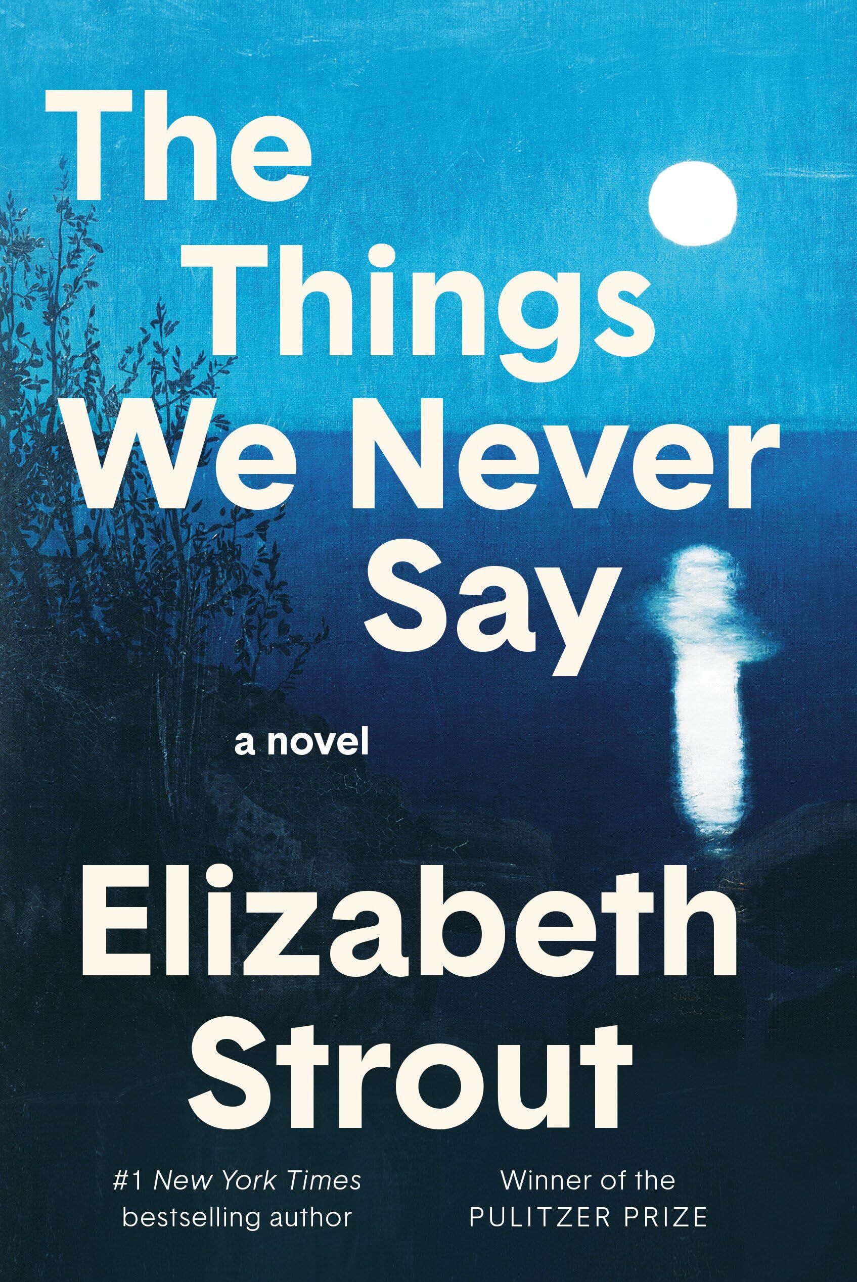 Strout, Elizabeth: The Things We Never Say